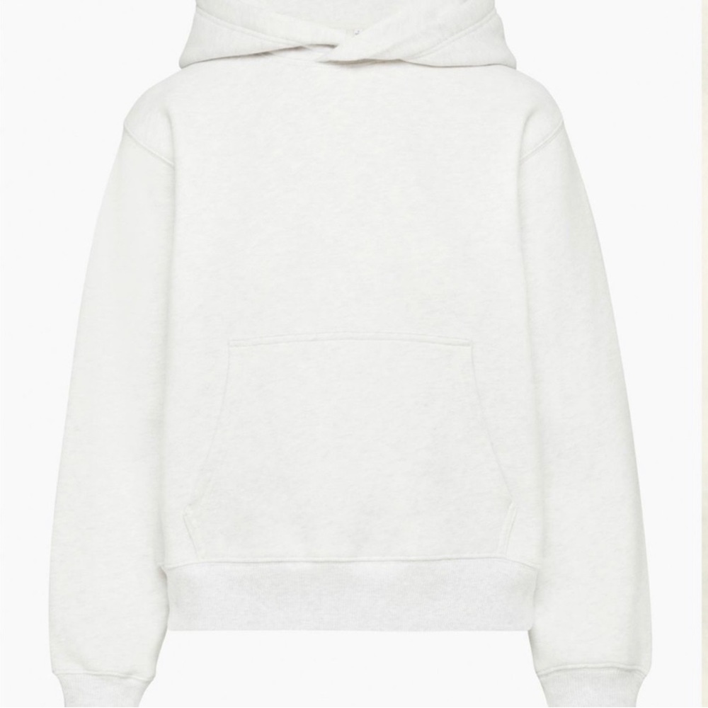 Aritzia Tna COZY FLEECE PERFECT HOODIE, small, Heather, Cloud